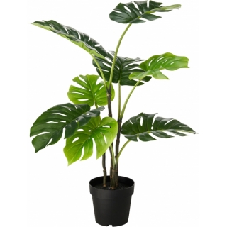 Монстера 90 см