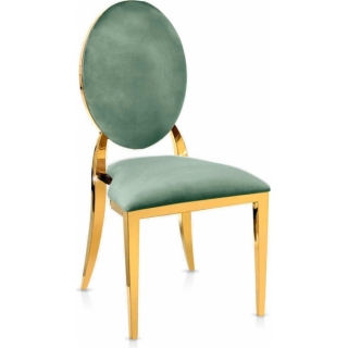 Washington Шалфей